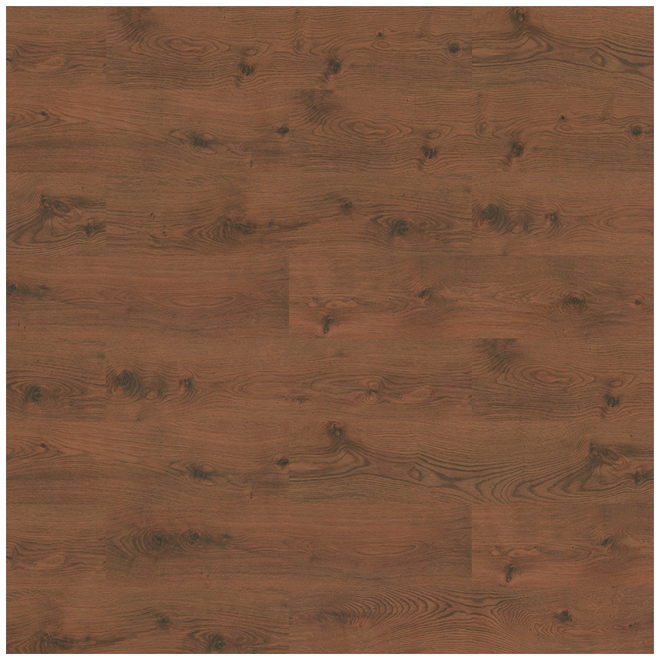 Plancher stratifié « Megaloc » 8mm, Chêne Swamp