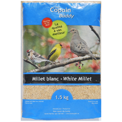 Millet blanc pour oiseau sauvage, 1,5 kg