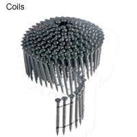 Coil