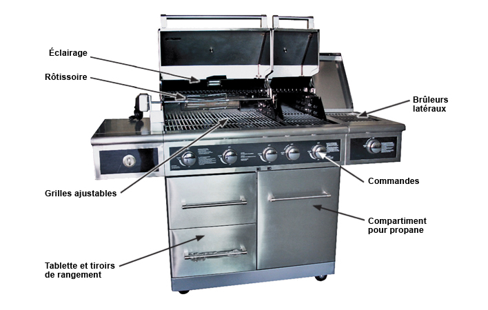 barbecue electrique grand format