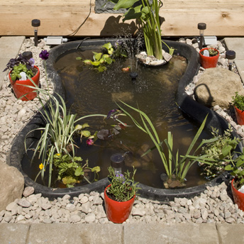 Lay out a water garden - BUYER'S GUIDES | RONA | RONA