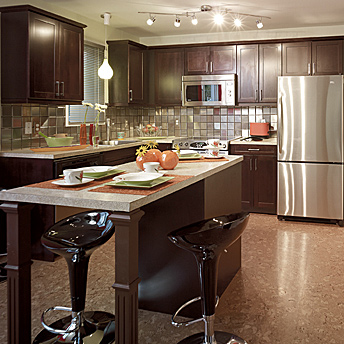 Kitchen with lunch counter built into the island 