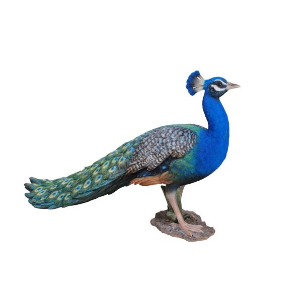 Statue Paon Jardin Métal – Ornement Extérieur Élégant, Sculpture Oiseau Patio Pelouse 42 Cm